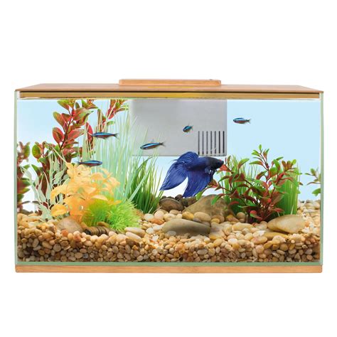 Top Fin® Betta Bamboo Aquarium - 3 Gallon | Betta aquarium, Betta fish ...