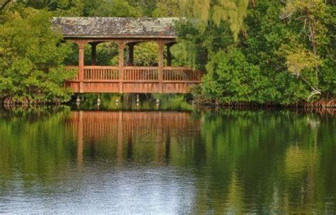 Bridges: Wooden Bridge Over Water