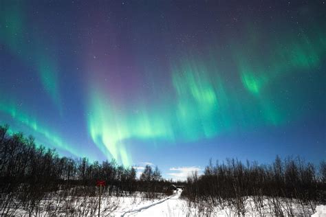 How to Book the Best Kiruna Northern Lights Tour (+ Tips!)