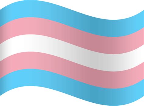 Transgender flag png hd transparent png