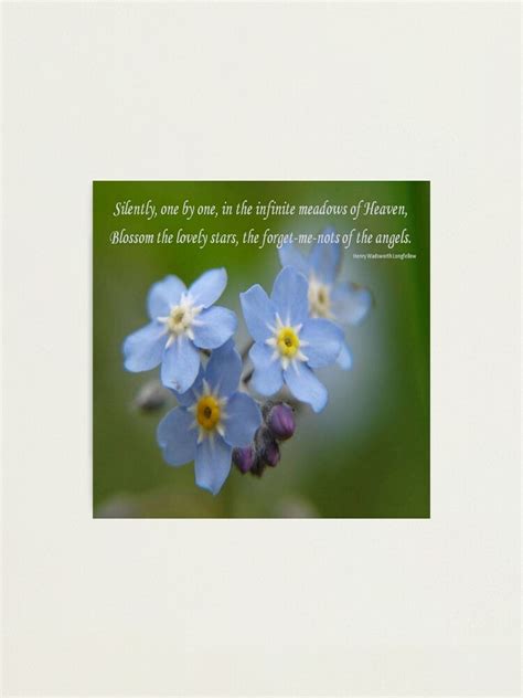 "The Forget-Me-Nots of the Angels Quote" Photographic Print for Sale by taiche | Redbubble