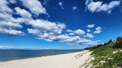 Sydney - City and Suburbs: Monterey, beach