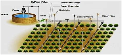 11: Layout of Sprinkler Irrigation System 320 | Download Scientific Diagram