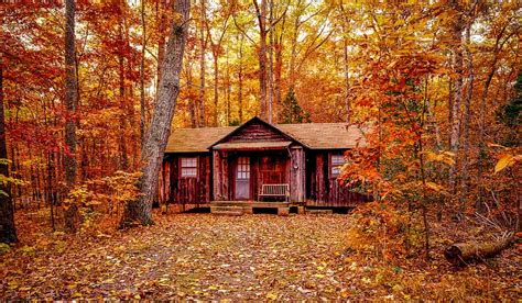 25 Best Airbnbs in the White Mountains (NH): Cabins + Treehouses