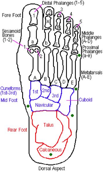 Foot Care FAQs | Feet care, Nursing tips, Care