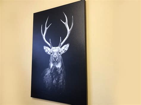 Deer Black and White Canvas Deer Photo Print Black Deer Wall - Etsy