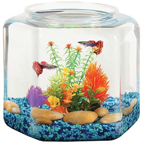 Compare price to fish bowl gravel | TragerLaw.biz