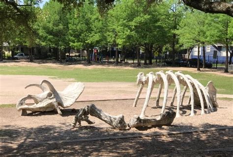 Travis Spark Park… Houston’s Dinosaur Park, Designed by Kids!