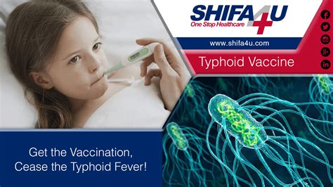 Typhoid Vaccine