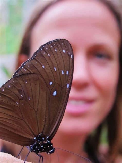 My new friend the butterfly at Tanjung Puting National Park, #Kalimantan, #Borneo #Indonesia ...