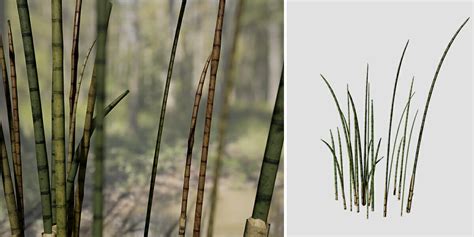 Pond Reeds Species Pack – SpeedTree