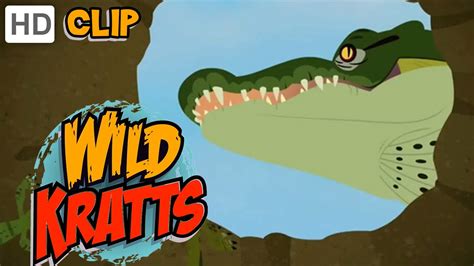 Wild Kratts - The Great Crocodile Hatching - YouTube