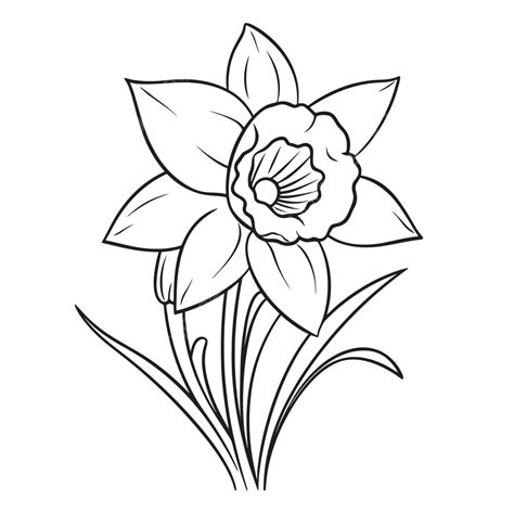 Narcissus Flower Coloring Page Outline Sketch Drawing Vector, Flower Drawing, Wing Drawing, Ring ...