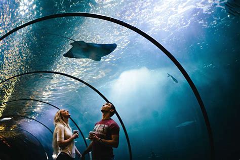 10 Best Aquariums in the U.S. | Travel + Leisure