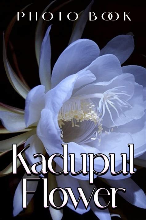 Kadupul Flower Photo Book: Flowers Colorful Photograph Album For All Ages To Unleash The ...