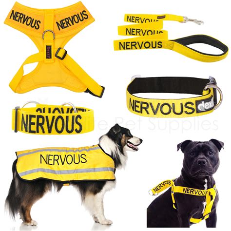 DEXIL DOG COLLAR, Lead, Harness, Coat Colour Coded Advance Pet Warning Worded £10.45 - PicClick UK