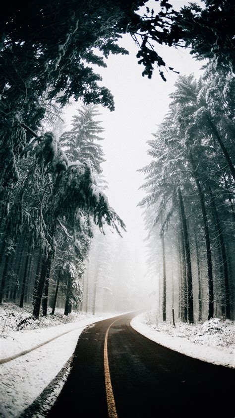 50+ Gorgeous Free Winter Wallpapers For IPhone (2023)
