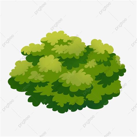 the top view of a tree with green leaves