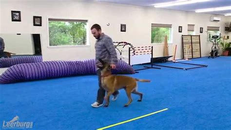 Heeling Tips with Forrest Micke | Dog Training