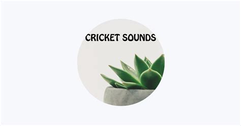 ‎Cricket Sounds on Apple Music