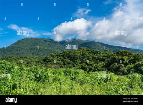 The Sierra Madre del Sur Mountains of Oaxaca, Mexico Stock Photo - Alamy