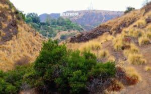 15 Best Hikes in Los Angeles with Awesome Views! - My Open Country