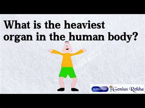 What is the heaviest Organ in the human body? - YouTube