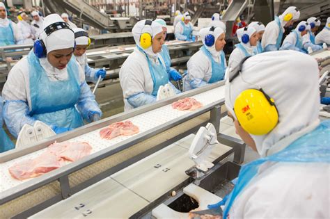 MHP plans 2nd poultry processing plant in Europe - Poultry World