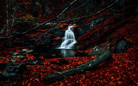 Waterfalls Wallpaper 4K, Autumn, Dark Forest, Foliage