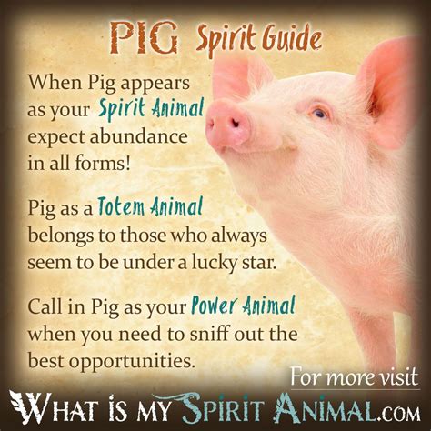 Pig Symbolism & Meaning | Spirit, Totem & Power Animal