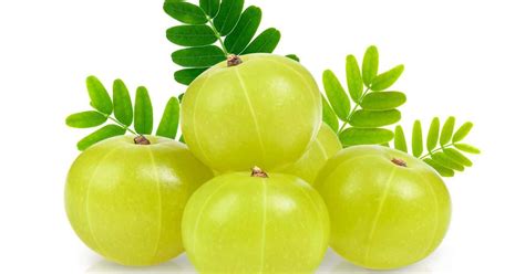 Amla Fruit Extract | Benefits and Uses