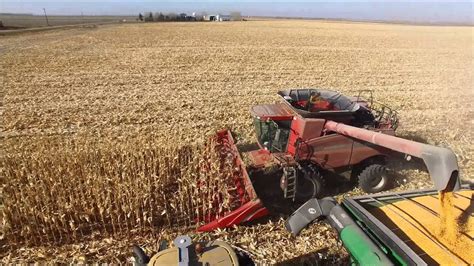 Corn harvest - YouTube