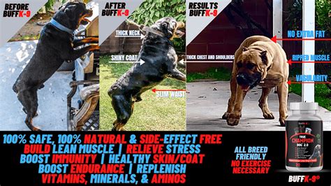 Dog Muscle Supplements for Strength & Performance | BuffK-9®