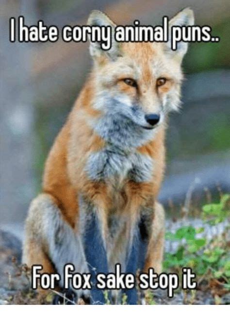 Pin by Quotesing on Memes | Red fox pictures, Fox, Fox puns