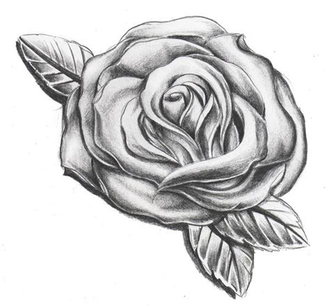 rose shading by WillemXSM on DeviantArt