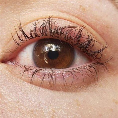 Lash Lift Pros and Cons - Should You Get a Lash Lift?