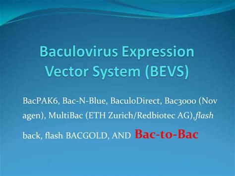 PPT - Baculovirus Expression Vector System BEVS PowerPoint Presentation - ID:581876