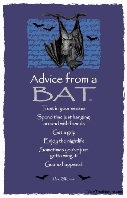 Quotes About Animal Bats. QuotesGram