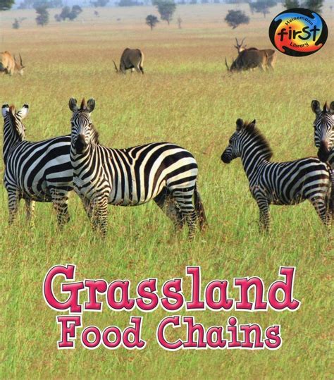 Grassland Food Chains