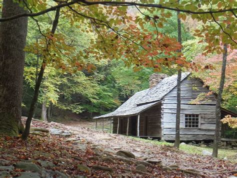 Roaring Fork Motor Nature Trail - See the Smoky Mountains with Kids