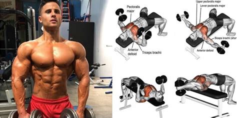 upper chest dumbbell exercises > OFF-72%