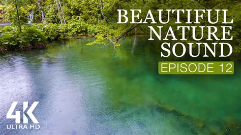 4K Beautiful Nature Sounds - Episode #12 | ProArtInc