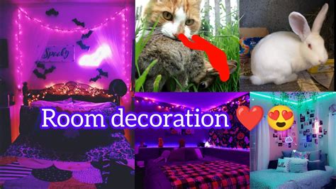 Room decoration ️💡|cat attack on rabbit🐇😱 - YouTube