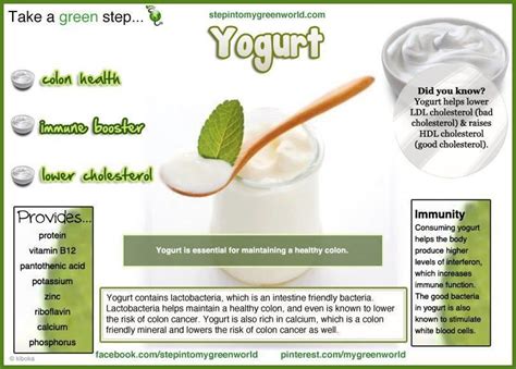 Yogurt | BENEFIT'S OF~~~~ | Pinterest