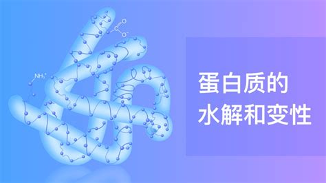 蛋白质的水解与变性_火花学院