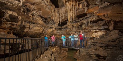 Subterranean Marvels: Exploring Caves for Remarkable Discoveries.thorr