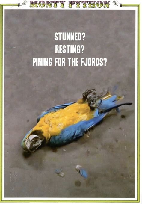 Monty Python Dead Parrot Sketch Birthday Greeting Card Funny Humour Cards