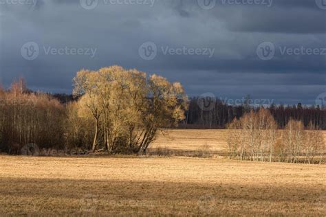 Early Spring Landscapes 15564491 Stock Photo at Vecteezy