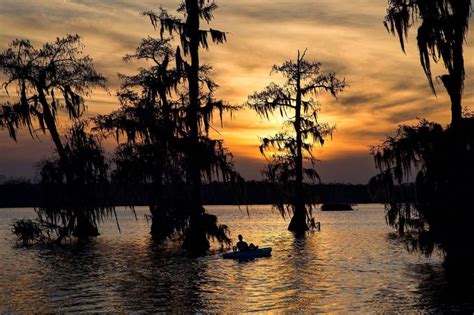 Louisiana swamp scene | Louisiana swamp, Sunset, Lake