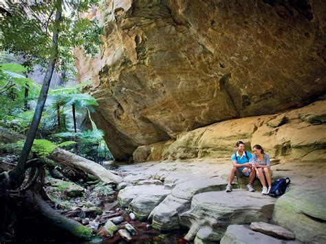 Carnarvon Gorge, Carnarvon National Park - Attraction - Queensland